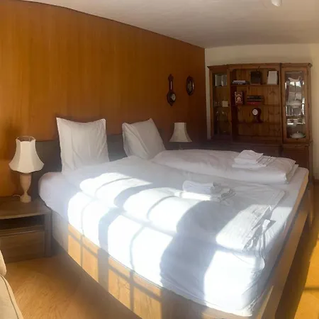 Apartment Baerli *